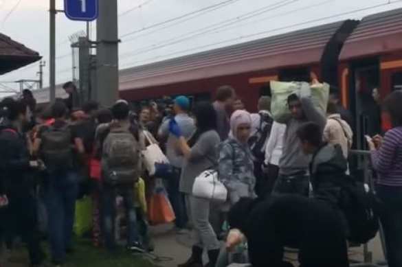 Нашествие мигрантов в Европу — самые свежие кадры с австро-венгерской границы (ВИДЕО) | Русская весна