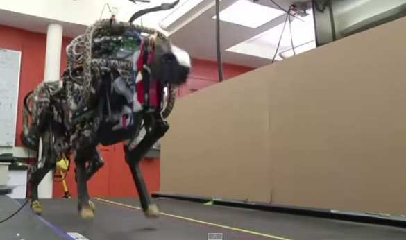 Робот-гепард полностью копирует передвижения животного (видео) | Русская весна