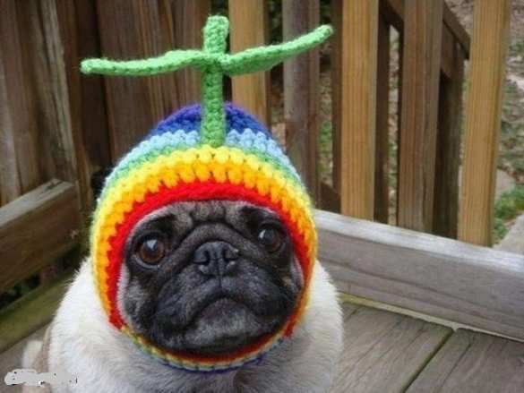 Плохие дороги? Решение есть! Турчинов предложил украинцам пересесть на вертолёты (ФОТО, ВИДЕО) | Русская весна