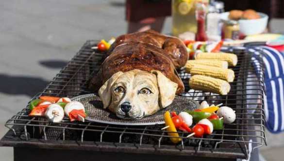 Их нравы: в Лондоне зоозащитная организация публично «зажарила собаку» (ФОТО) | Русская весна