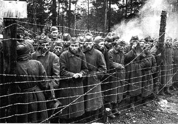 Дань памяти страшного прошлого: Россия и Германия начинают важную совместную работу | Русская весна