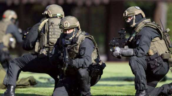 Спецназ ФРГ переброшен в Сирию, — СМИ  | Русская весна