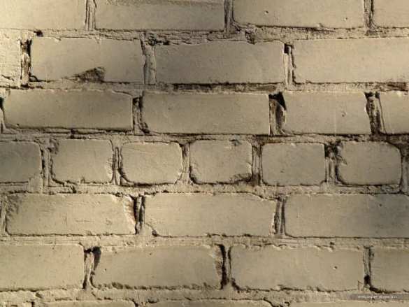 В Совете Европы раскритиковали желание Украины отгородиться «Стеной» | Русская весна