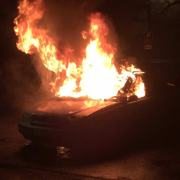 О маленьком Сомали в столице Швеции, — мнение | Русская весна