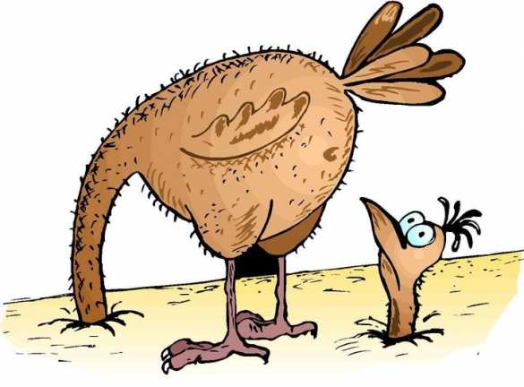 МИД Украины прокомментировал заявление Трампа про российский Крым | Русская весна