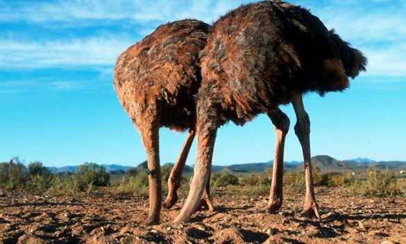 Занимательная статистика: СНБО насчитала на Донбассе 1052 погибших украинских военнослужащих | Русская весна