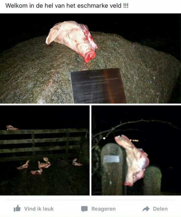 В Голландии сирийских беженцев встретили отрубленными свиными головами и табличкой «Добро пожаловать в ад» (ФОТО, ВИДЕО) | Русская весна