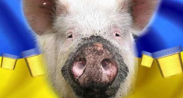 В Китае родился поросёнок-мутант с хоботом (ФОТО, ВИДЕО) | Русская весна