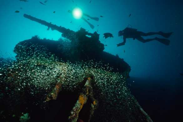 На Донбассе украинские танки «потопили корабли противника» (+ФОТО, ВИДЕО) | Русская весна