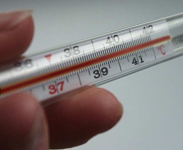 Учёные назвали необычный фактор, увеличивающий продолжительность жизни | Русская весна