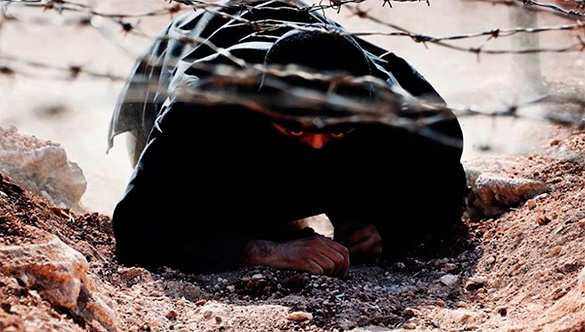 В Госдуме хотят проверить власти США на связь с террористами | Русская весна