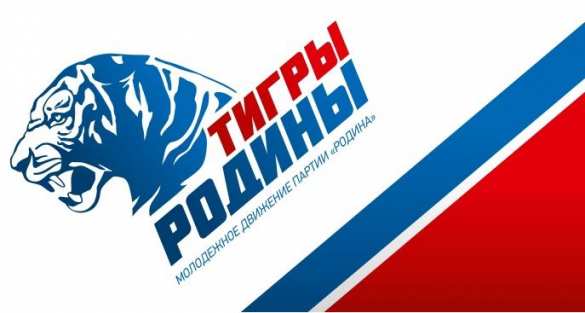 Помогавшие Донбассу «Тигры Родины» стали лучшим политическим проектом 2015 г. по версии ЦПА (ФОТО) | Русская весна