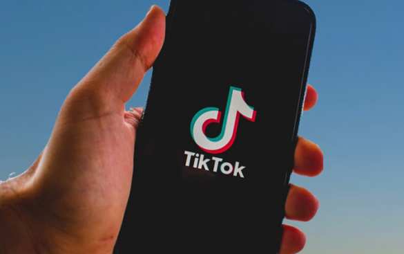 TikTok заблокировал скандальное высказывание посла Украины о Бандере | Русская весна
