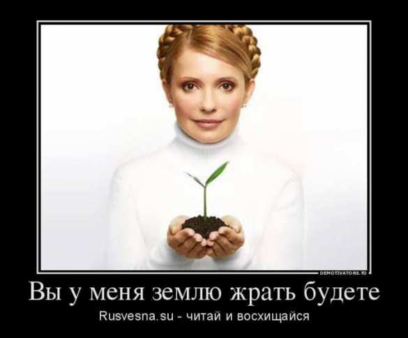 Тимошенко VS Порошенко: войска готовы к битве — мнение Олега Царева | Русская весна