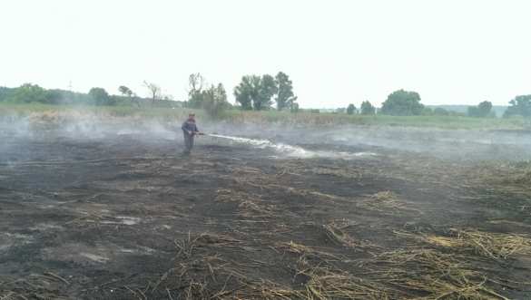 Нефтебаза догорела — теперь под Киевом горят торфяники (ФОТО) | Русская весна