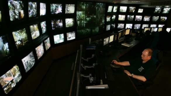 Жители Швейцарии одобрили тотальную слежку | Русская весна