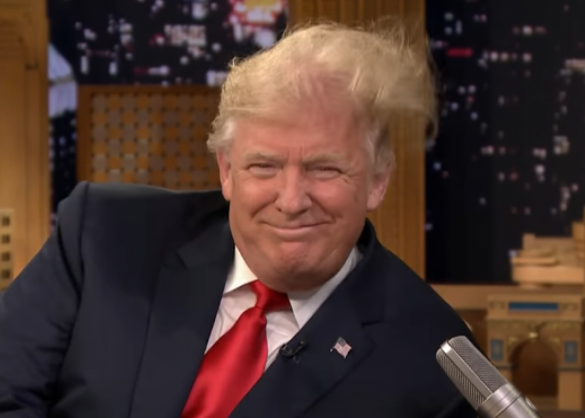 Канадский ученый назвал новый вид моли в честь Трампа (ФОТО) | Русская весна