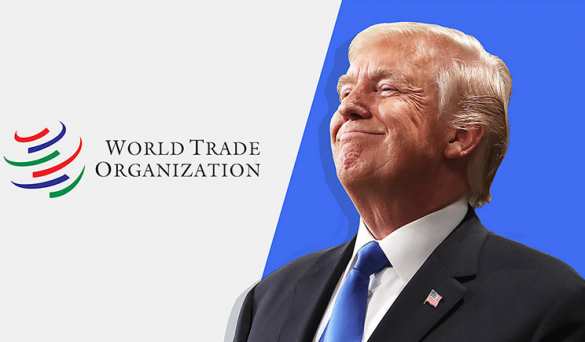 Трамп выведет США из ВТО — и организация станет бесполезна | Русская весна