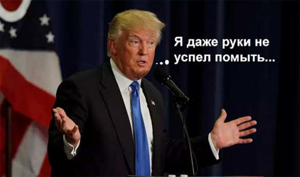 Тимошенко: Если бы с Трампом можно было встретиться у туалета — его бы там ловил весь мир (ВИДЕО) | Русская весна