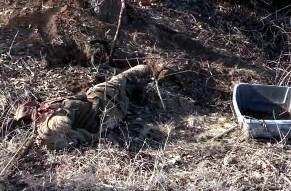 Бои в Артёмовске: уничтоженные украинские боевики и разбитая техника ВСУ (ВИДЕО 18+) | Русская весна