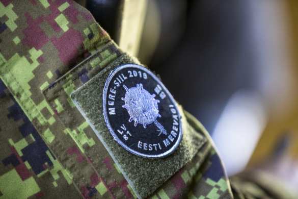 «Морской ёж»: в Эстонии начались «крупнейшие» военно-морские учения (ФОТО) | Русская весна