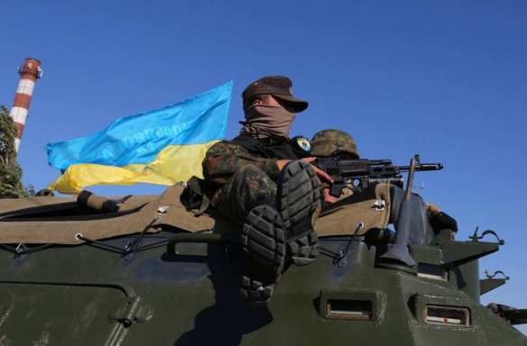 Как проходили выборы в украинский парламент под дулами автоматов: примеры Буковины и Красноармейска | Русская весна