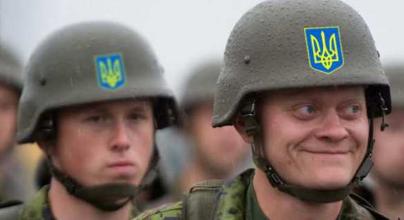 На оккупированных территориях продолжаются убийства и грабежи: расстреляна семейная пара | Русская весна