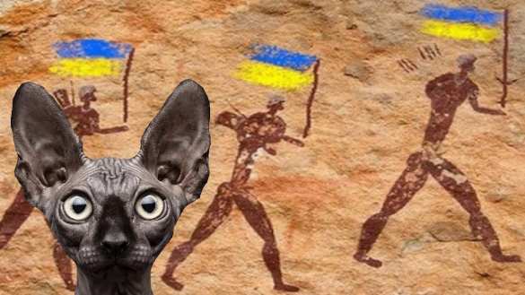 Спецбортом из Нью-Йорка в Киев эвакуировали кошку (ФОТО, ВИДЕО) | Русская весна