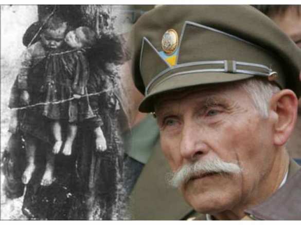 Украина не вступит в ЕС, пока Киев не покается за Волынскую резню, — министр обороны Польши | Русская весна