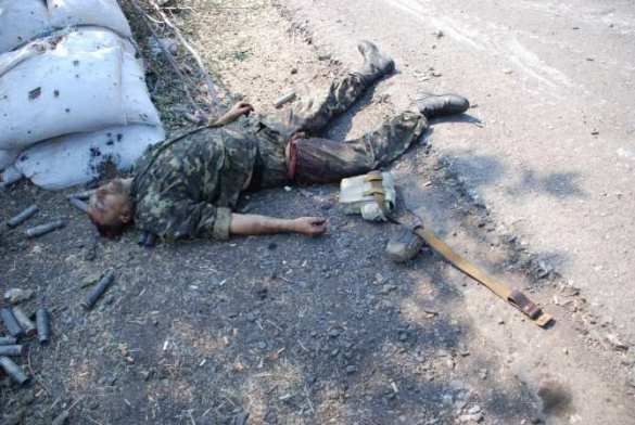 Миссия «Черный тюльпан»: волонтеры собирают остатки украинских солдат за свой счет | Русская весна