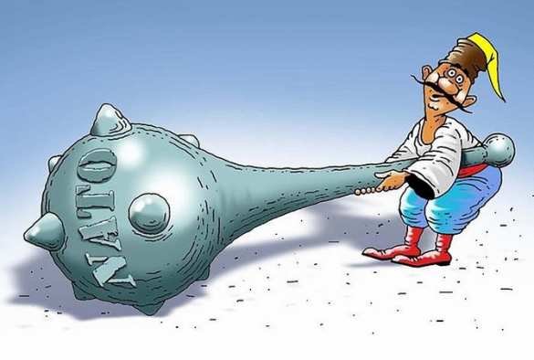 Если сегодня принять Украину в НАТО — завтра начнётся война с Россией, — экс-посол США | Русская весна