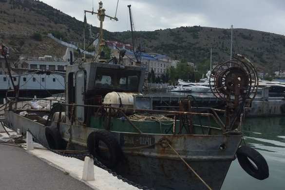 Море крови и ряды убитых дельфинов: как силовики РФ схватили украинских варваров (ФОТО 18+) | Русская весна