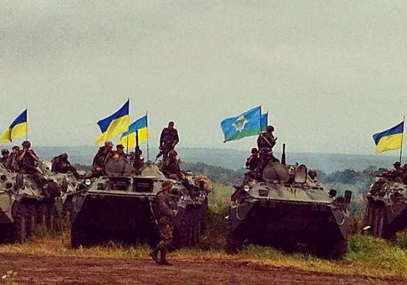 В ОБСЕ подтвердили, что украинцы не хотят воевать | Русская весна