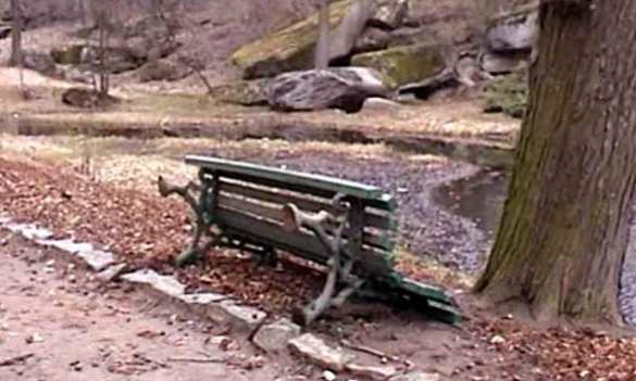 Новости декоммунизации: в Умани вандалы разбили бюст Аристотеля (ФОТО, ВИДЕО) | Русская весна