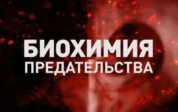 В интернете создан виртуальный реестр предателей России | Русская весна