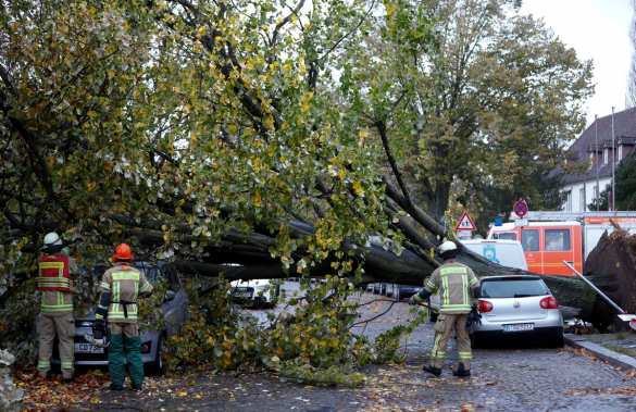 На Германию обрушился ураган (ФОТО, ВИДЕО) | Русская весна