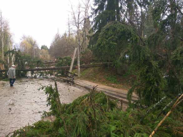 Во время урагана в Подмосковье погиб мужчина | Русская весна