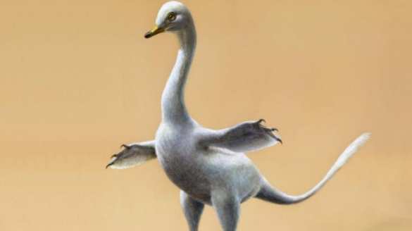 Ученые обнаружили в Монголии останки «уткодинозавра» | Русская весна