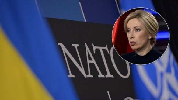 У Зеленского выступили против вступления Украины в НАТО | Русская весна