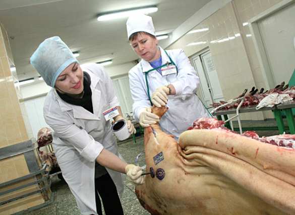 Республика в цифрах: Ветслужба ЛНР и борьба с недоброкачественной продукцией (ИНФОГРАФИКА) | Русская весна