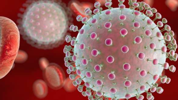 Ученые предлагают использовать вирус Зика для борьбы с «раком Маккейна» | Русская весна