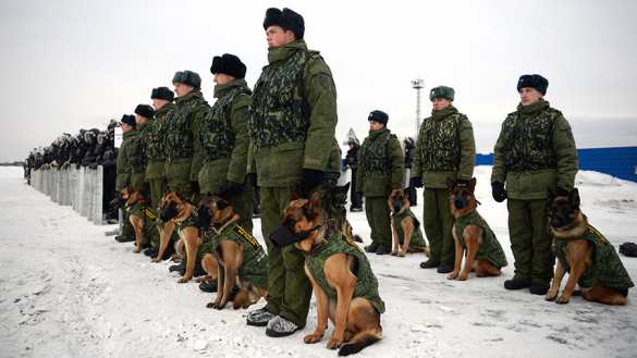 Саперы, спасатели и бойцы спецназа: в России отмечают День кинолога (ФОТО) | Русская весна
