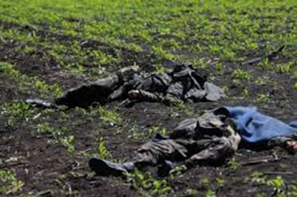 ООН: на Донбассе погиб 4771 человек | Русская весна