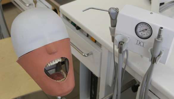 Японские врачи будут обучаться на российских тренажерах | Русская весна