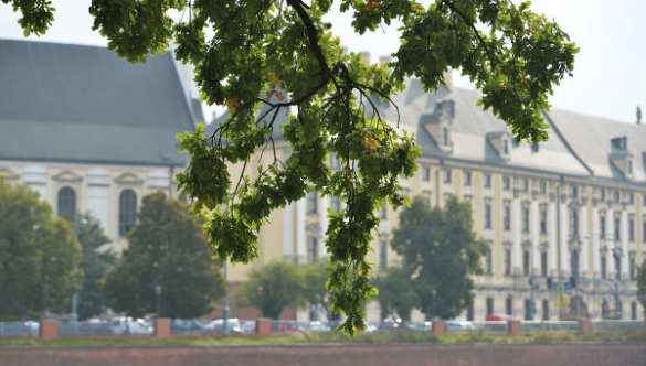 Поляки позвали немцев «посмотреть на демократию в Польше» | Русская весна
