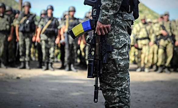 Поражающий результат: боевик ВСУ опробовал революционный способ уничтожения мины (ФОТО, ВИДЕО) | Русская весна