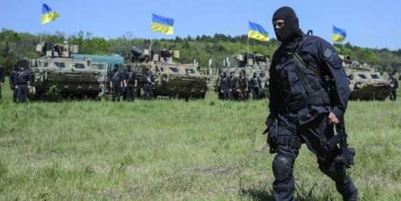 После обстрела украинскими танками позиций ВСУ ополченцы ЛНР попросили ОБСЕ отреагировать на провокации (ВИДЕО) | Русская весна