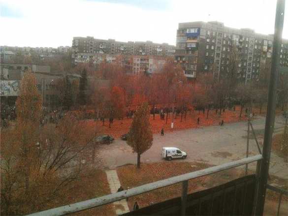 Выборы в ДНР и ЛНР проходят при высокой явке (статистика/фото) | Русская весна