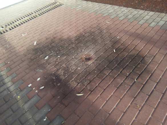 В Ровно взорвали квартиру депутатов «оппозиционного блока» (ФОТО) | Русская весна