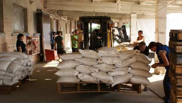 КамАЗы с гуманитарной помощью прибыли в Луганск (видео) | Русская весна